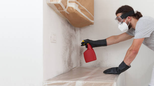 Professional Crawl Space Mold Remediation technician working in Thorofare, NJ
