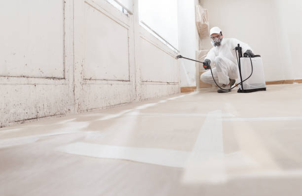 24/7 Emergency Crawl Space Mold Remediation experts in Thorofare, NJ